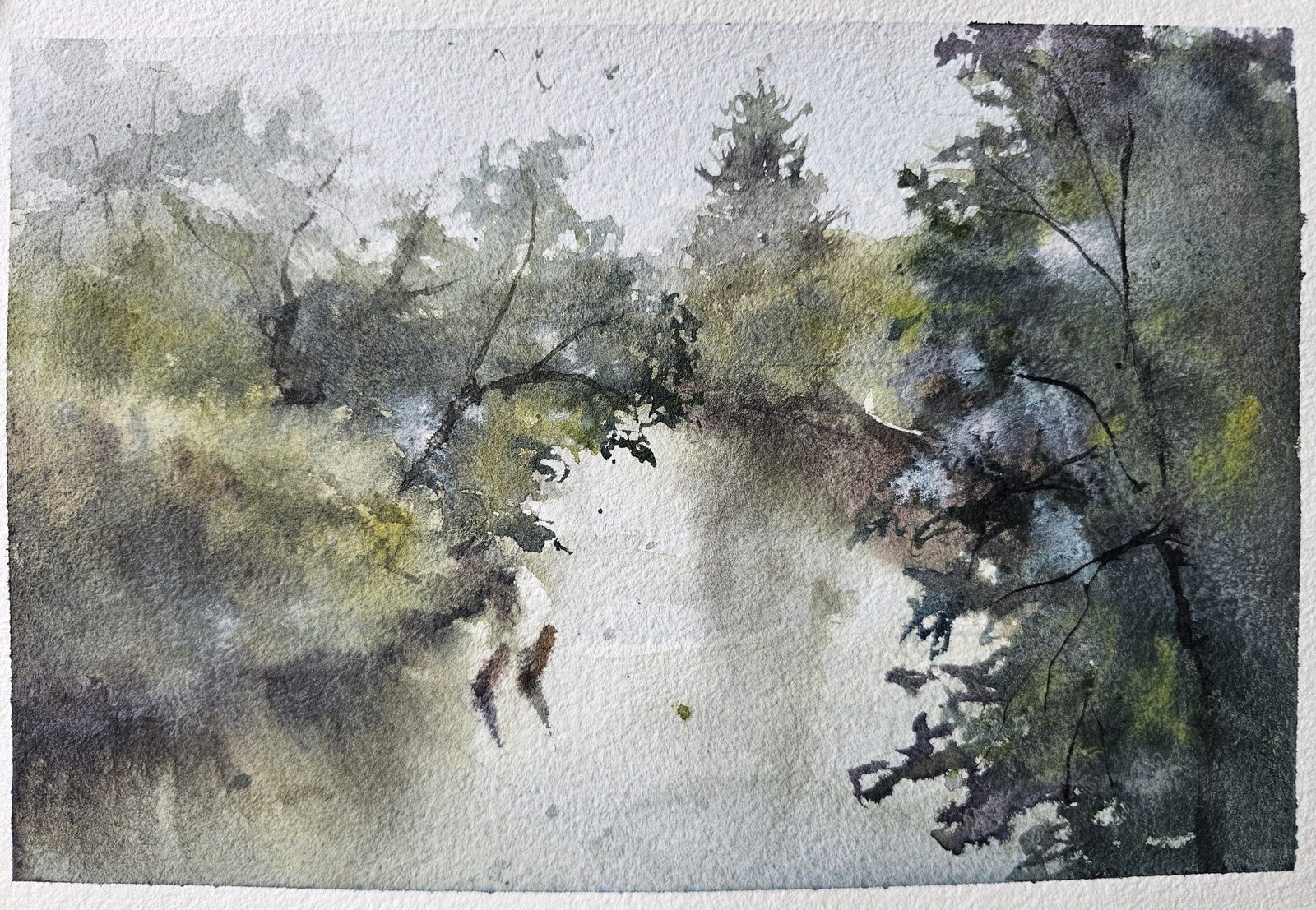 Atmospheric watercolour of a rope swing hanging from misty trees over water